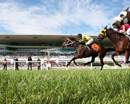 Bears Reportedly Sign Purchase Agreement For Arlington Racetrack