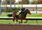 Jim Rome has horse in Mine That Bird Derby at Sunland Park racetrack