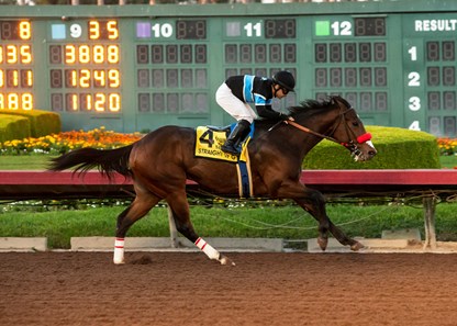 Jim Rome has horse in Mine That Bird Derby at Sunland Park racetrack