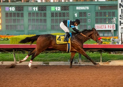 Jim Rome has horse in Mine That Bird Derby at Sunland Park racetrack