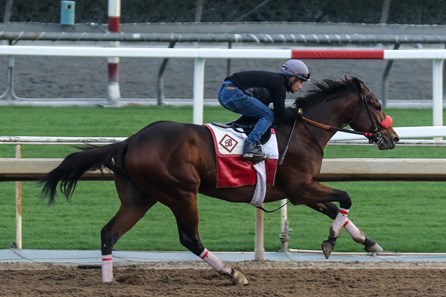 Jim Rome has horse in Mine That Bird Derby at Sunland Park racetrack